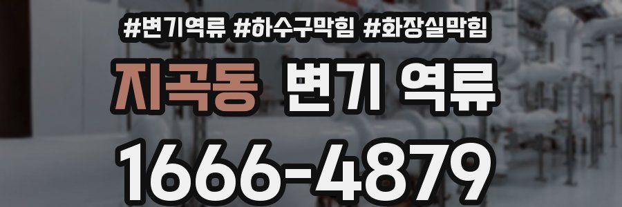 지곡동 변기 역류