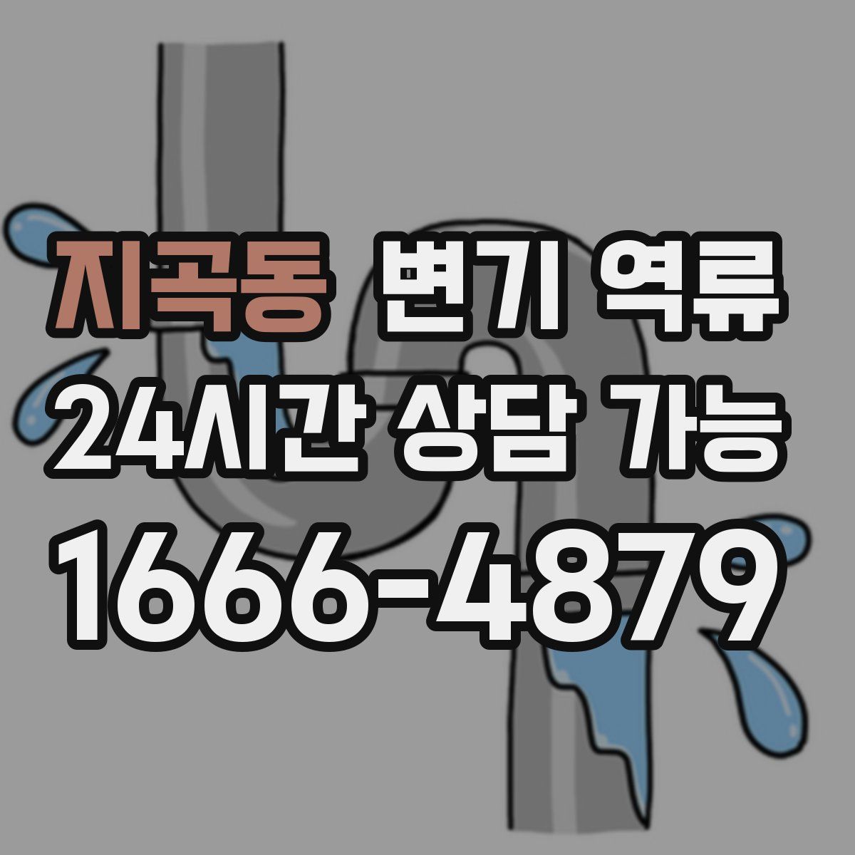 지곡동 변기 역류