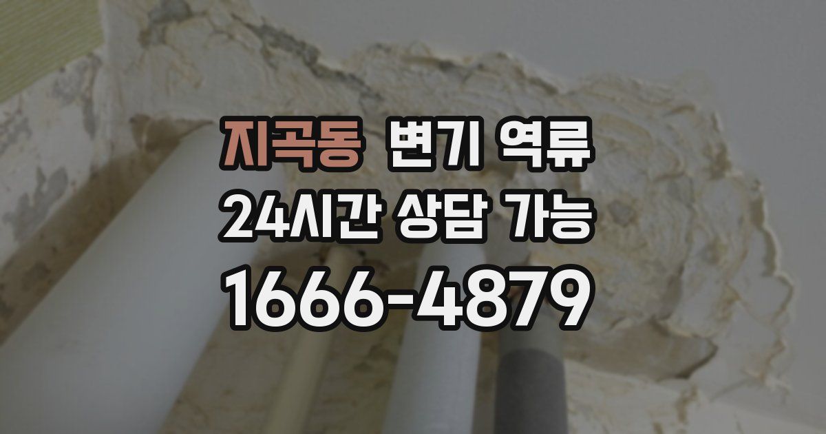 지곡동 변기 역류