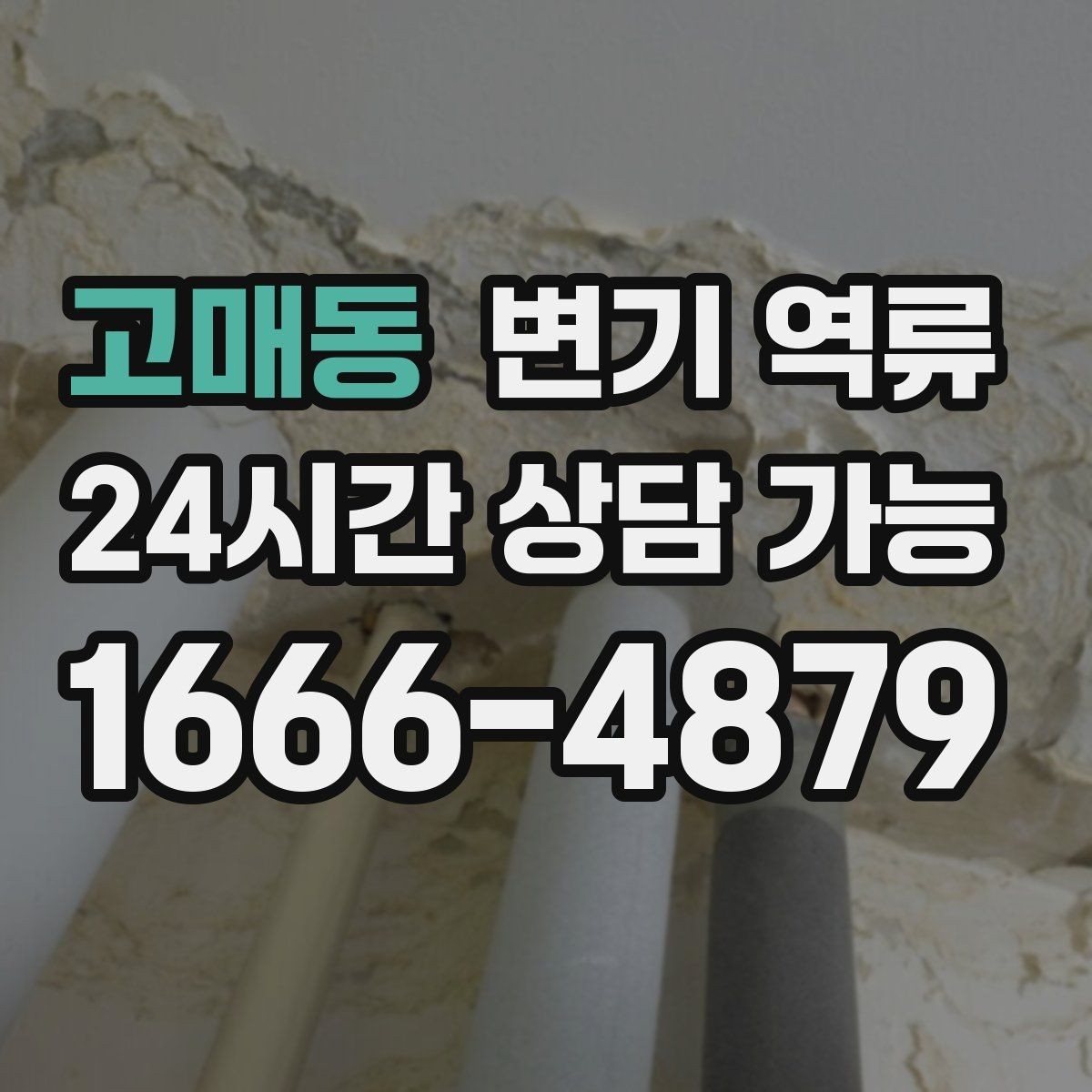고매동 변기 역류 단순 막힘과 배관 역류를 구분하는 방법