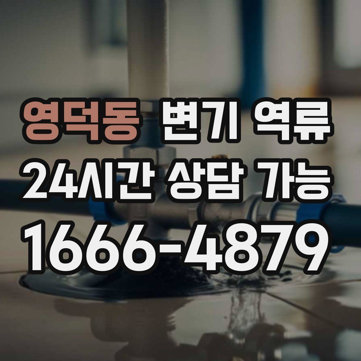 영덕동 변기 역류 변기 주변이 젖어 역류처럼 보일 때 구분법