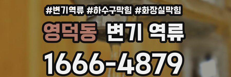 영덕동 변기 역류