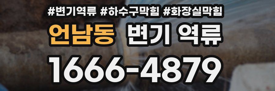 언남동 변기 역류