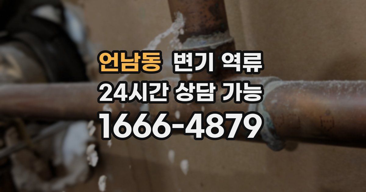 언남동 변기 역류