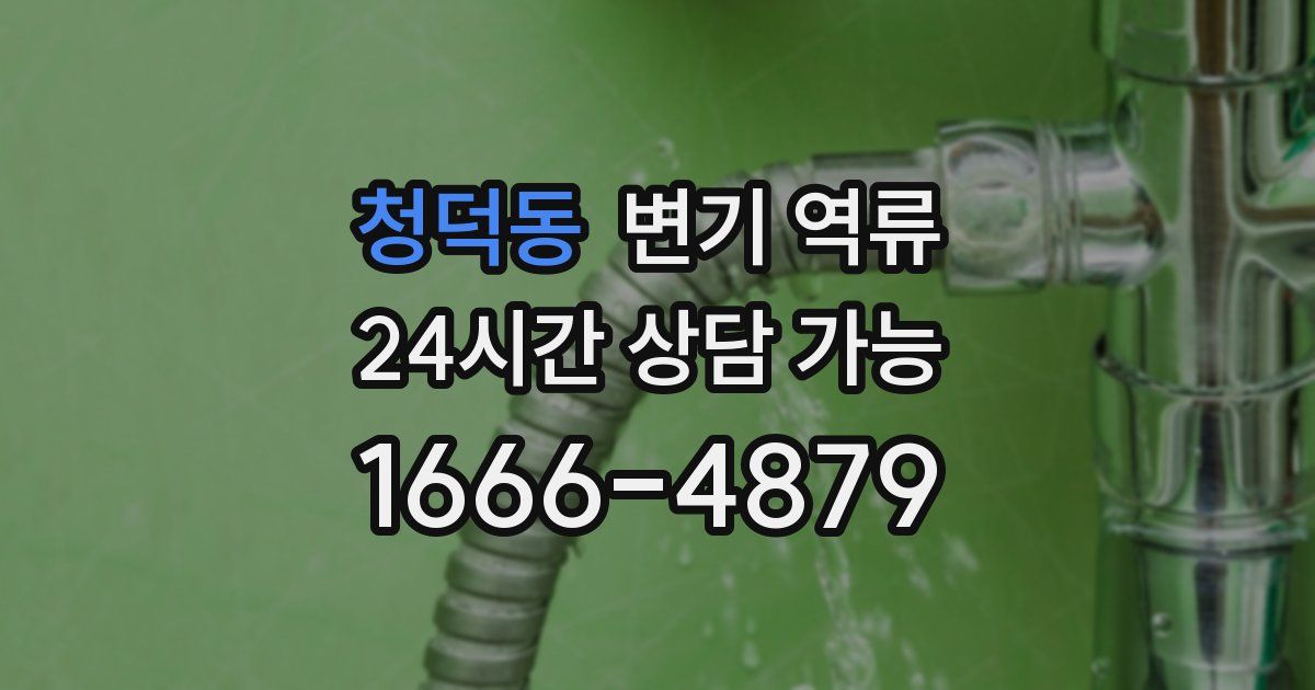 청덕동 변기 역류