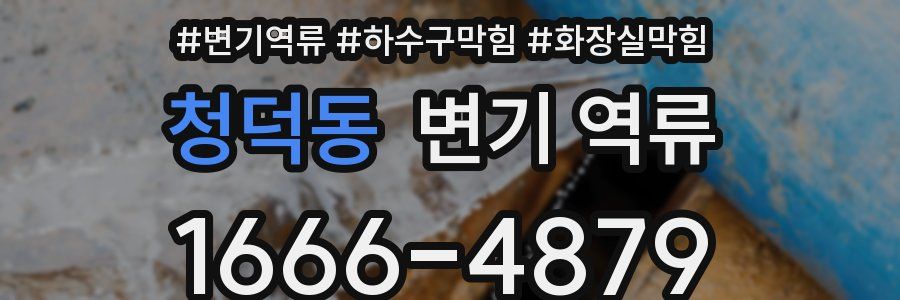 청덕동 변기 역류