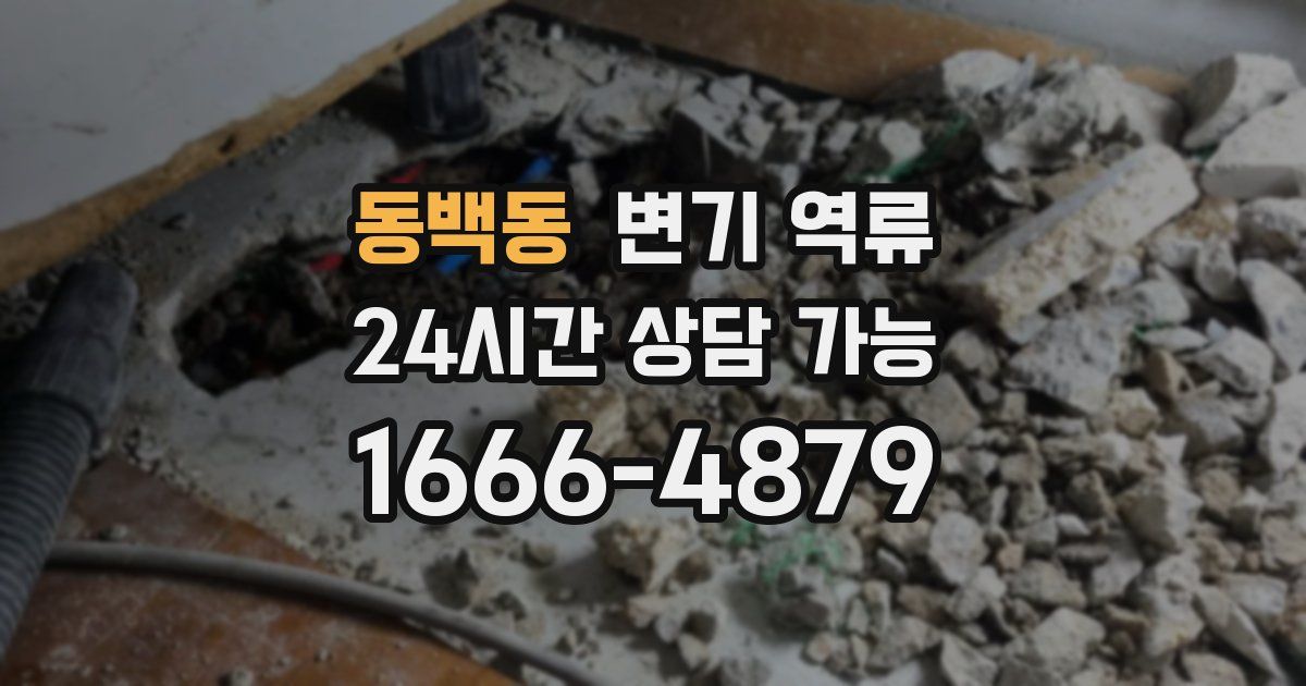 동백동 변기 역류