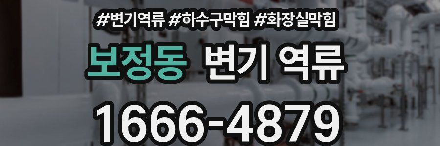 보정동 변기 역류