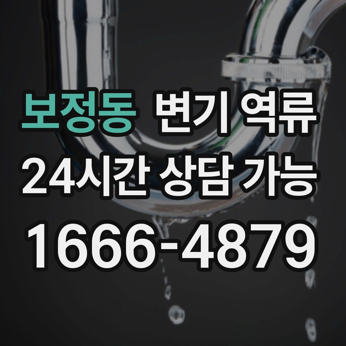 보정동 변기 역류