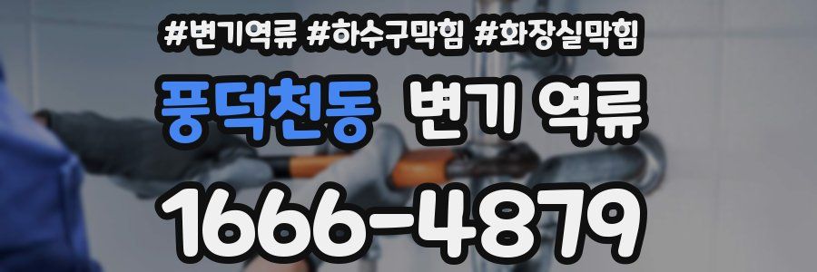 풍덕천동 변기 역류