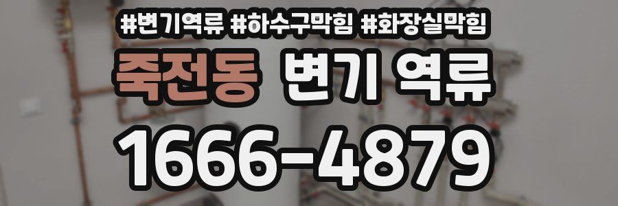 죽전동 변기 역류