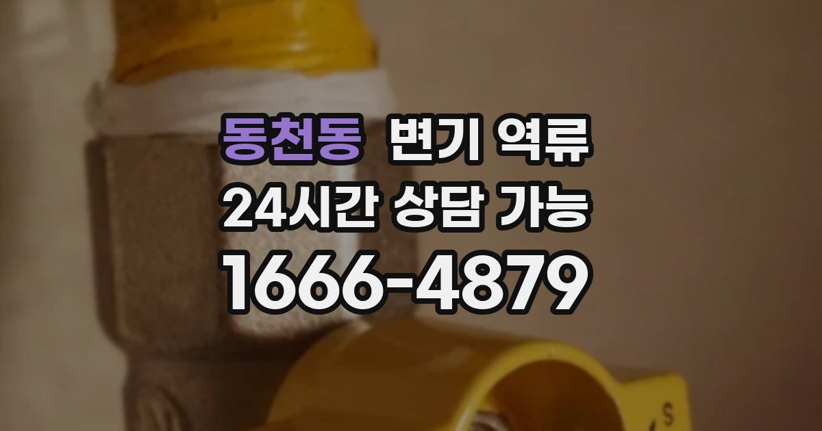 동천동 변기 역류