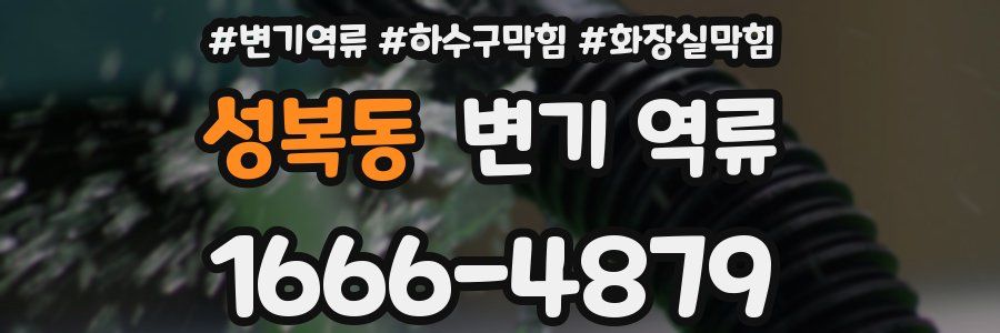 성복동 변기 역류