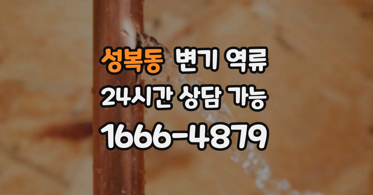 성복동 변기 역류