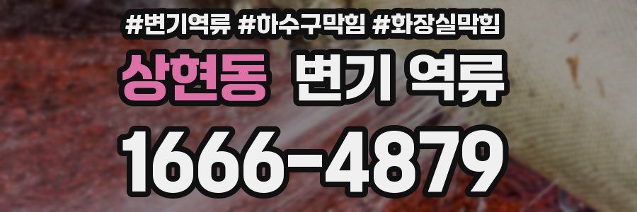 상현동 변기 역류