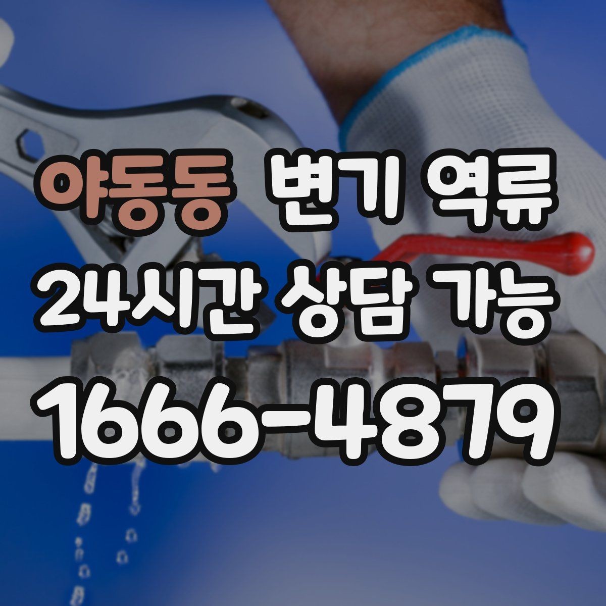 야동동 변기 역류 초기 대응이 피해를 줄이는 가장 빠른 방법
