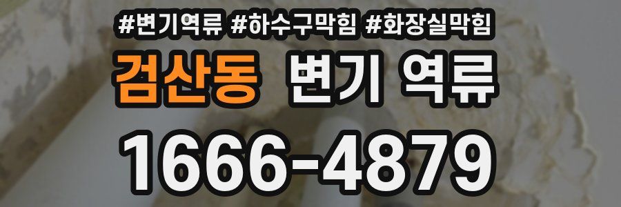 검산동 변기 역류