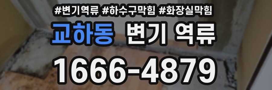 교하동 변기 역류