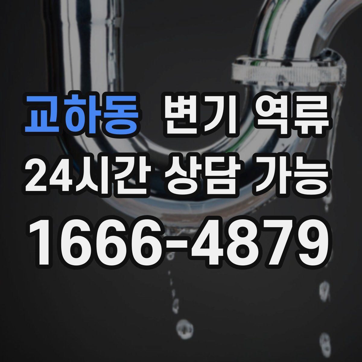 교하동 변기 역류