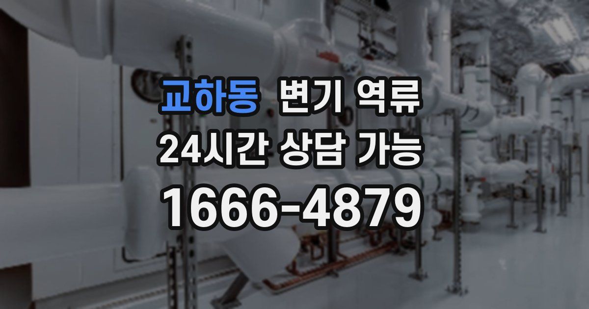 교하동 변기 역류