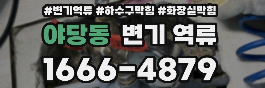 야당동 변기 역류
