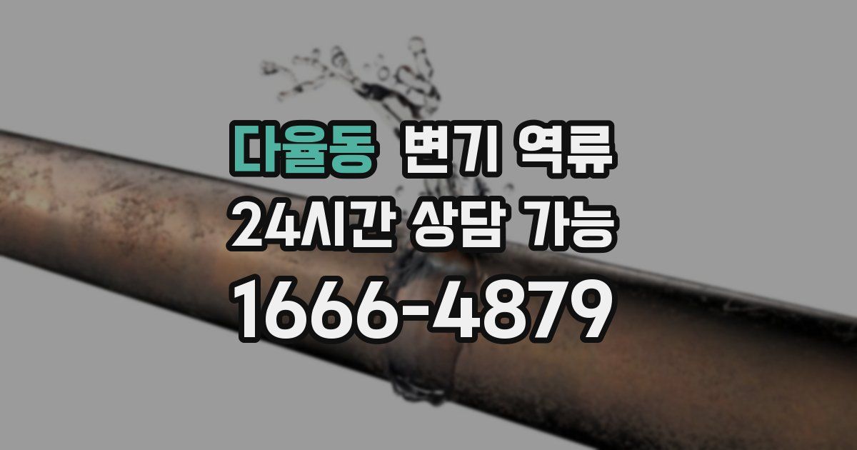 다율동 변기 역류