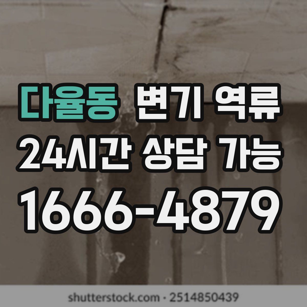 다율동 변기 역류