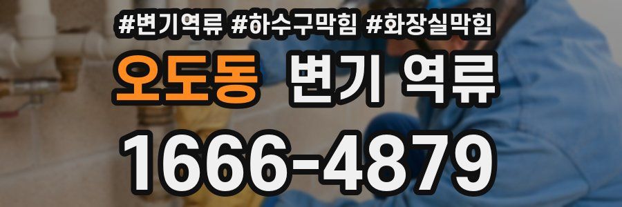오도동 변기 역류