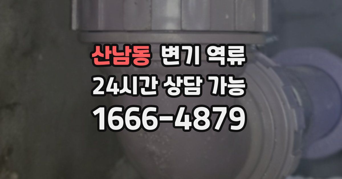 산남동 변기 역류