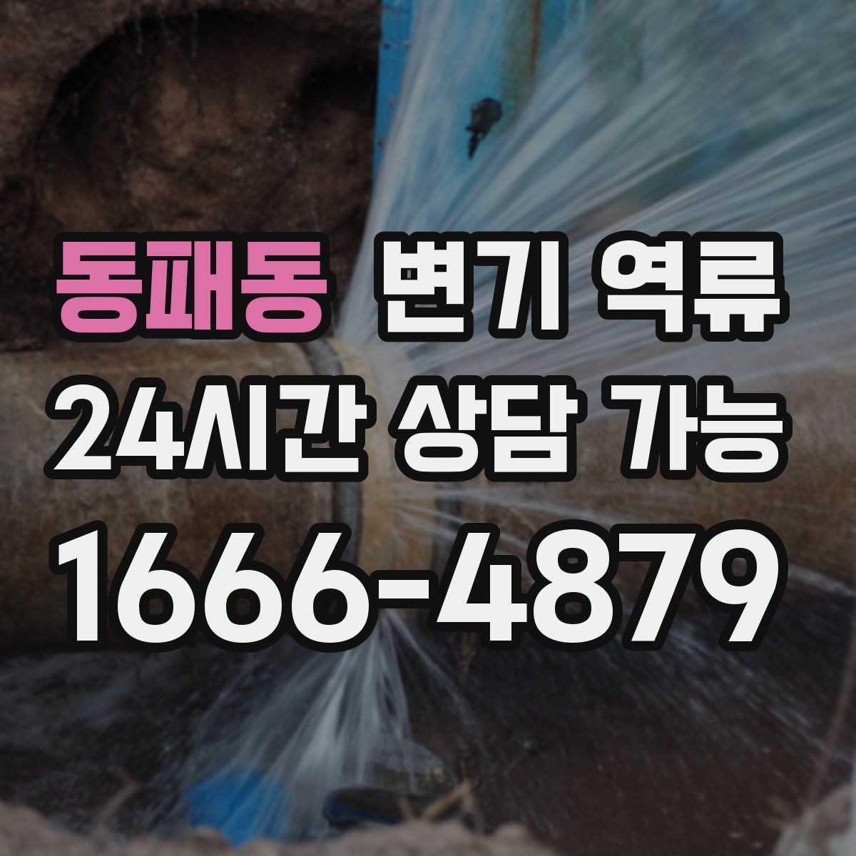 동패동 변기 역류 물이 맑은지 탁한지로 구분하는 힌트