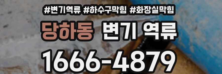 당하동 변기 역류