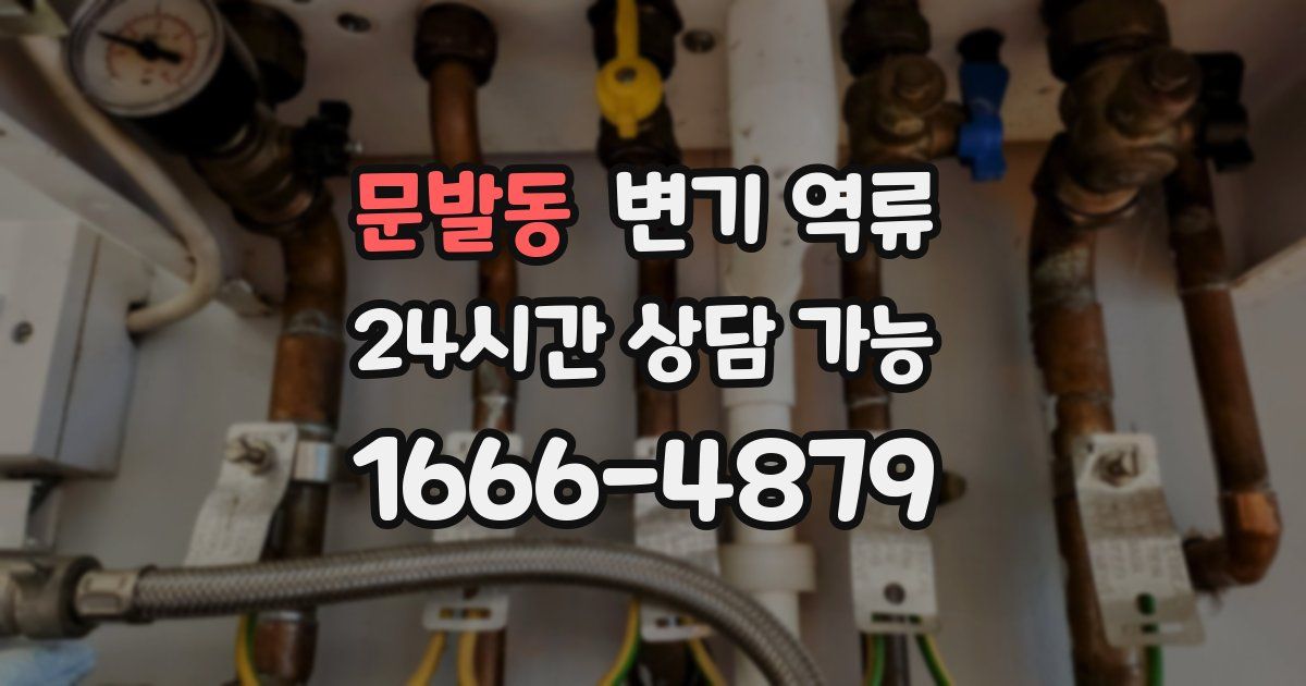 문발동 변기 역류