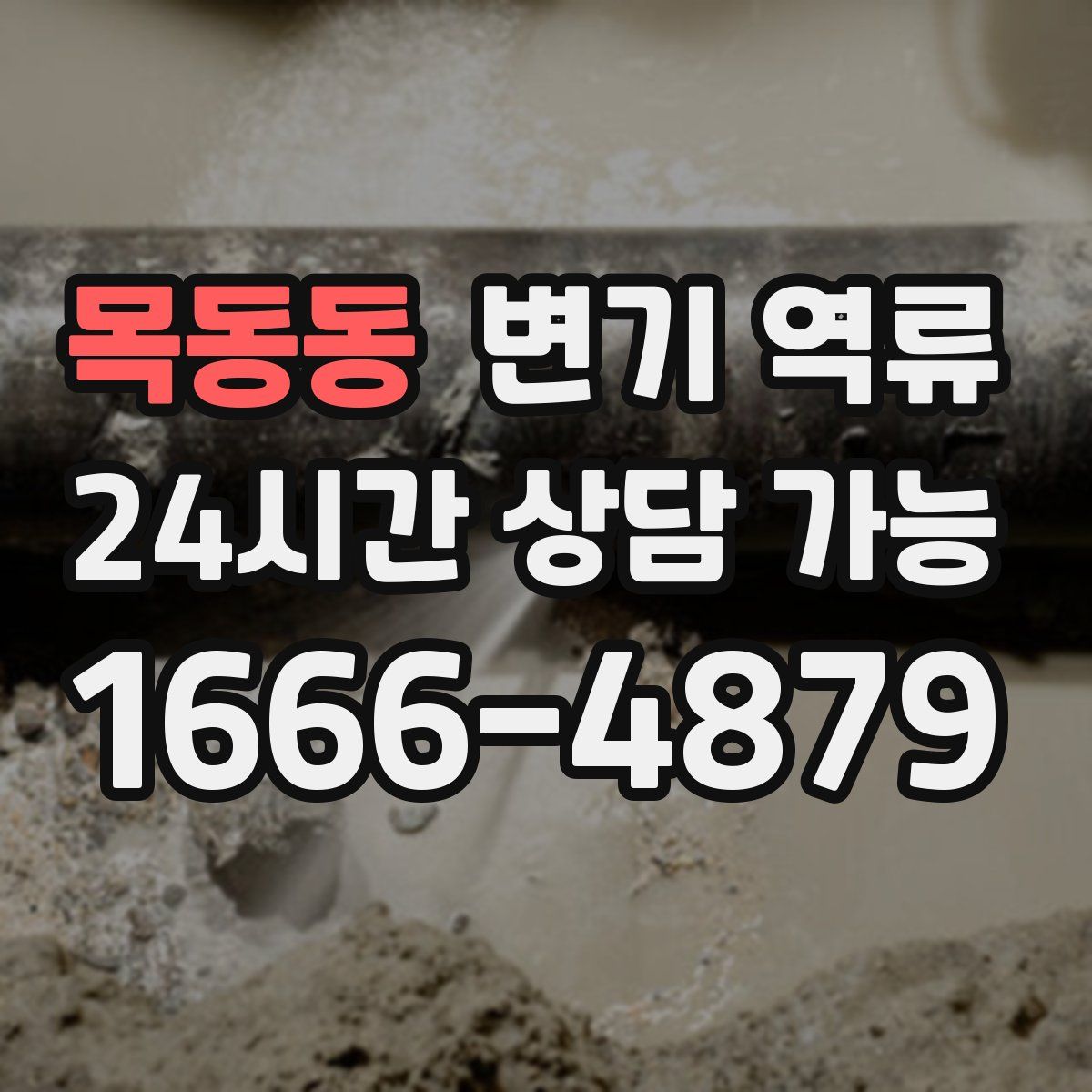 목동동 변기 역류