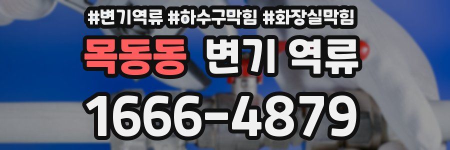 목동동 변기 역류