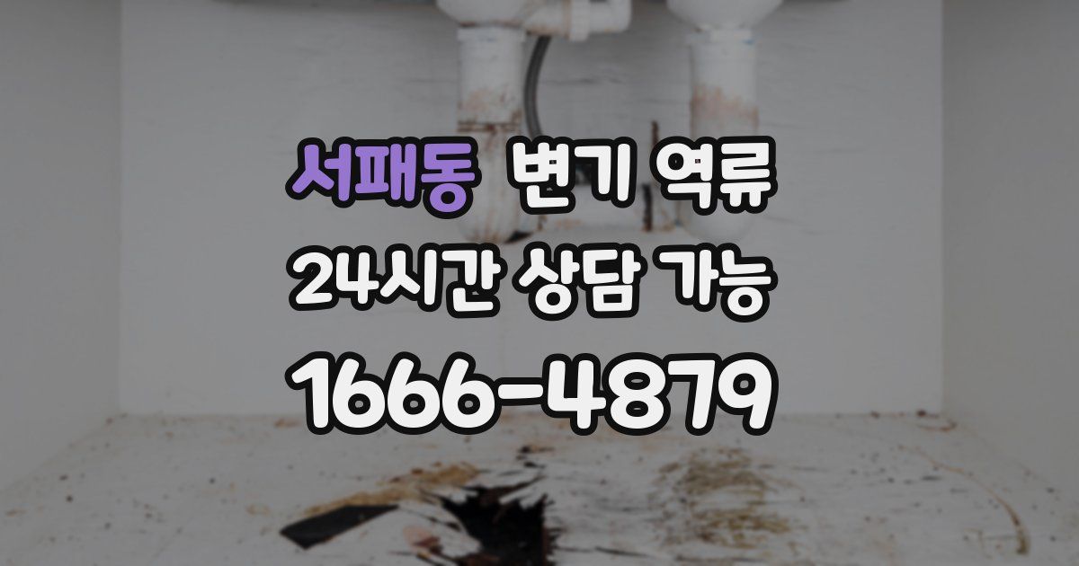 서패동 변기 역류