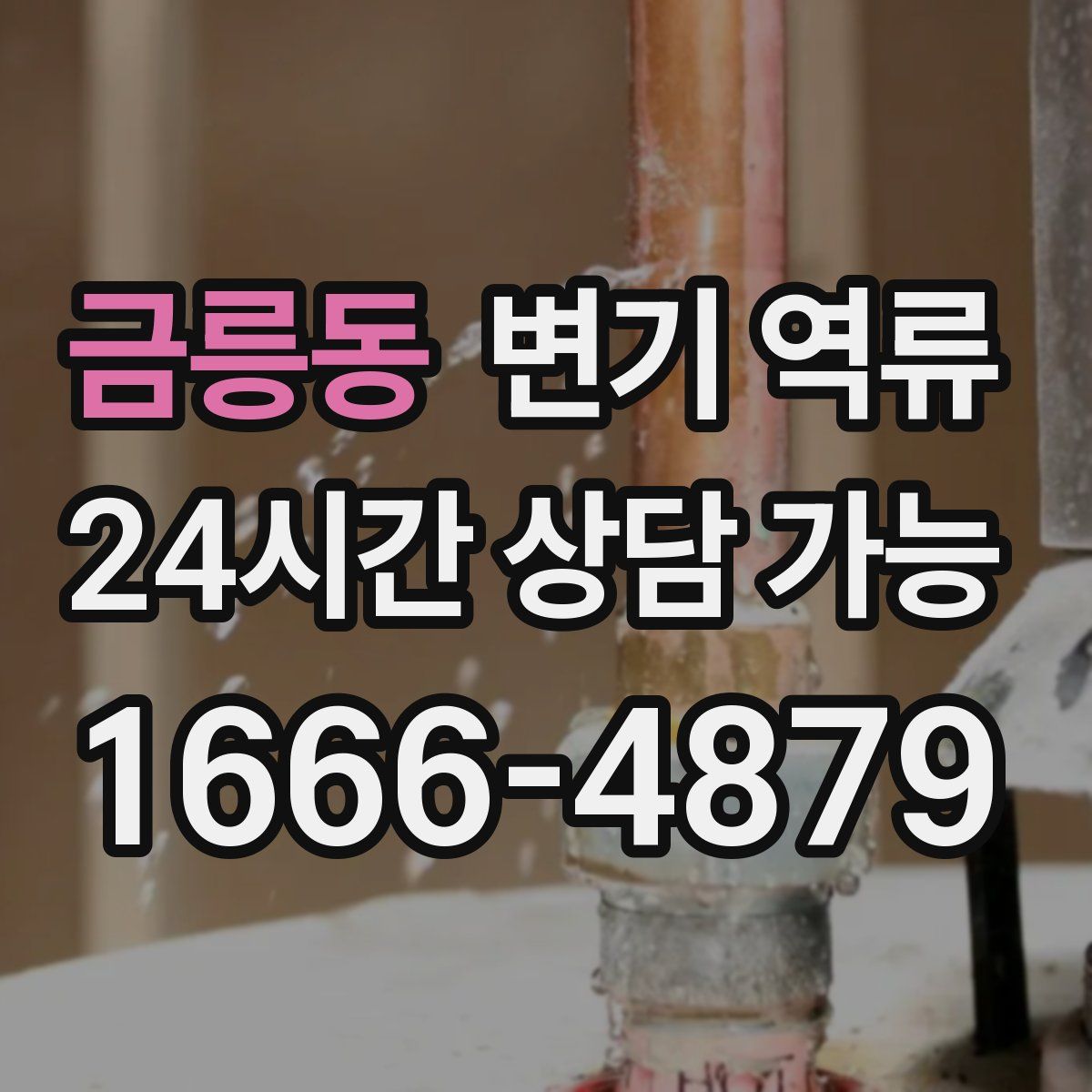 금릉동 변기 역류