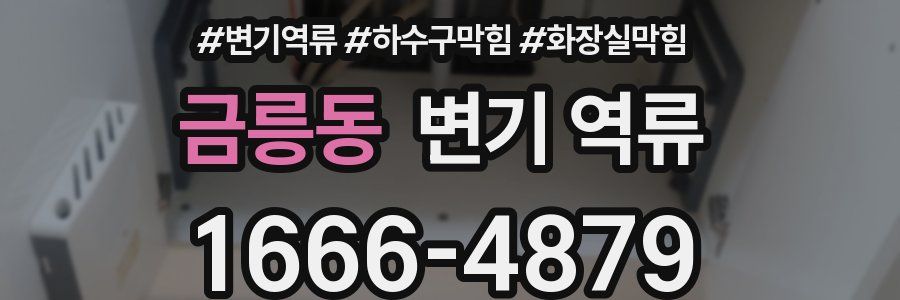 금릉동 변기 역류