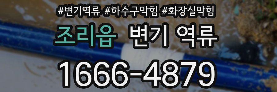 조리읍 변기 역류