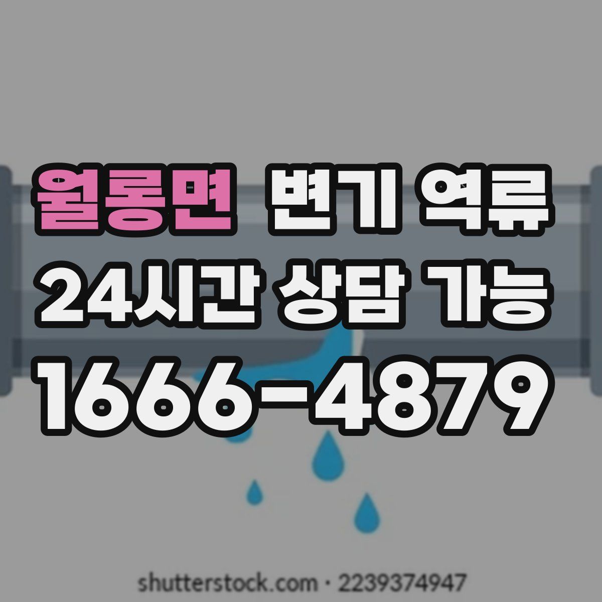 월롱면 변기 역류