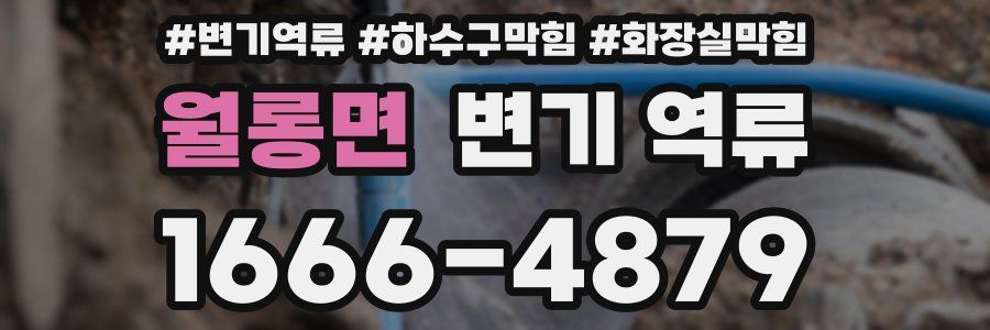 월롱면 변기 역류