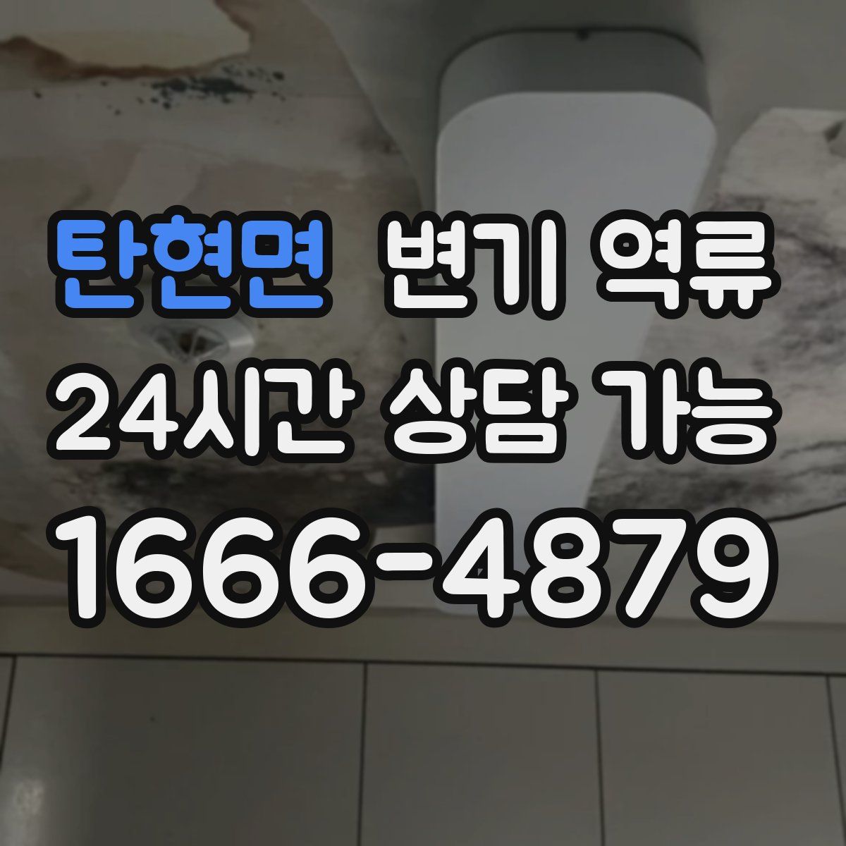 탄현면 변기 역류