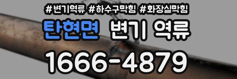 탄현면 변기 역류