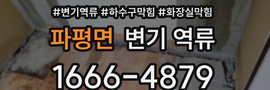 파평면 변기 역류