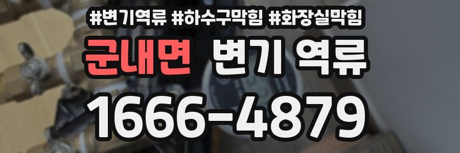 군내면 변기 역류