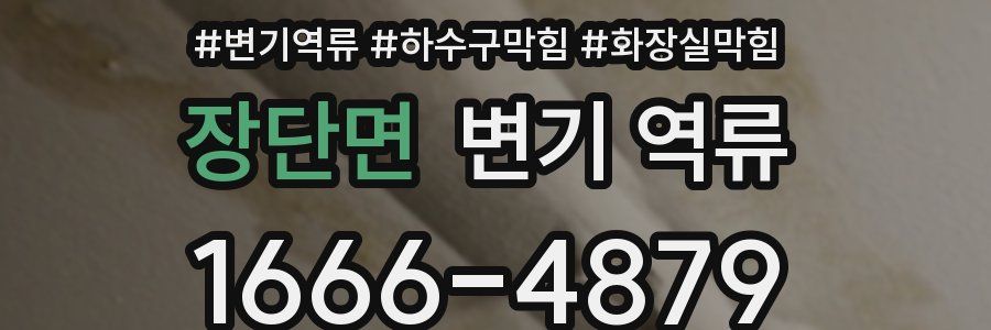 장단면 변기 역류