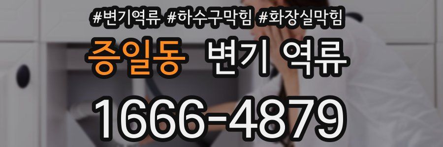 증일동 변기 역류