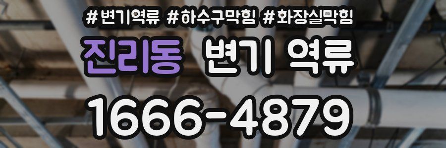 진리동 변기 역류