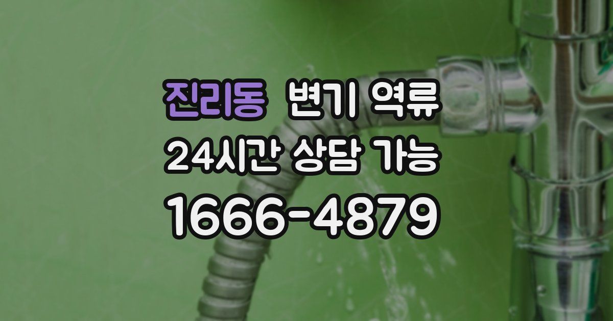 진리동 변기 역류