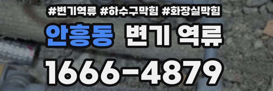 안흥동 변기 역류