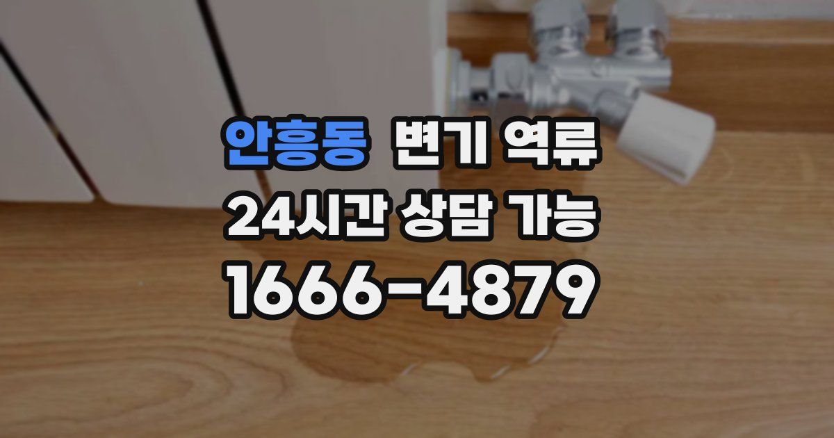 안흥동 변기 역류